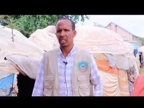 CODHNET's tweet card. Act for Humanity CoDHNet in Action