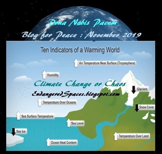 BlogBlast4Peace's tweet card. Discover even more ideas for you