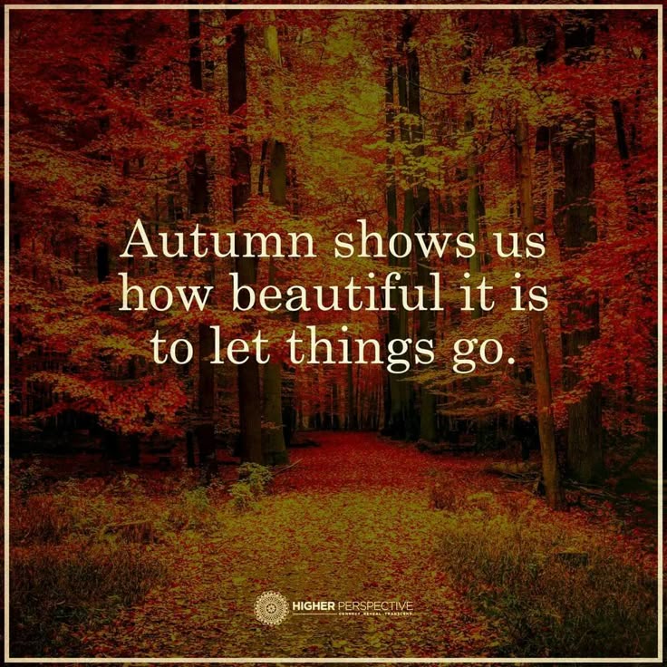 BlogBlast4Peace's tweet card. Discover even more ideas for you