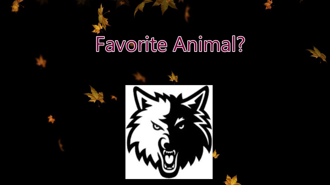 flymiko's tweet card. 2025 Football Season Seniors - Q3 Fav Animal