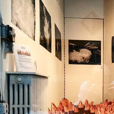 TrimLab's tweet card. @trimlab • Instagram photo