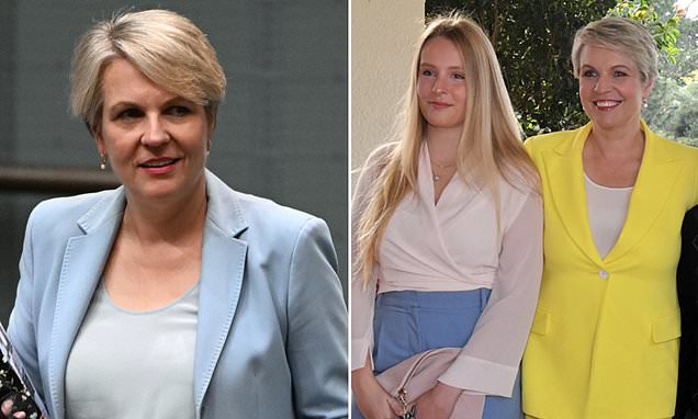 amansproblem's tweet card. Then-deputy leader Tanya Plibersek had been considering running for Labor leader in May, 2019, but pulled out because her daughter Anna was to appear in court over ex-boyfriend's abuse.