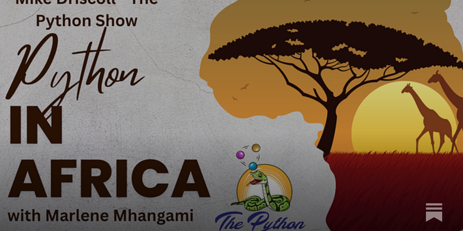 driscollis's tweet card. Today’s episode of The Python Show Podcast has my very special guest, Marlene Mhangami.