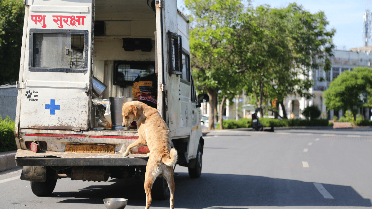 ShekharGupta's tweet card. SC’s order asks institutions to breed unnecessary panic and build fortresses, when they are yet to achieve basic safety or dignity.