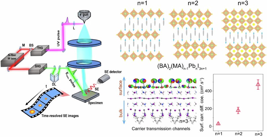 LightSciAppl's tweet card. Light: Science & Applications - Using 4D-SUEM, we revealed photo-induced surface carrier diffusion in 2D perovskites, with rates far exceeding bulk values, driven by broader carrier...