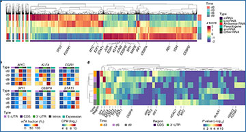 RNASeqBlog's tweet card. Functional studies of the RNA N6-methyladenosine (m6A) modification have been limited by an inability to map individual m6A-modified sites in whole transcriptomes. To enable such studies, University...