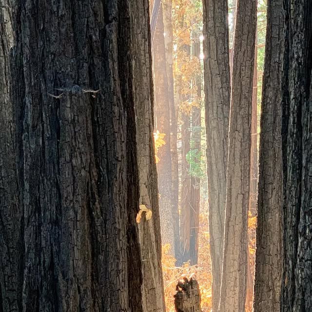 MokaiMusic's tweet card. Mokai Music (@mokaimusic) • Instagram photo