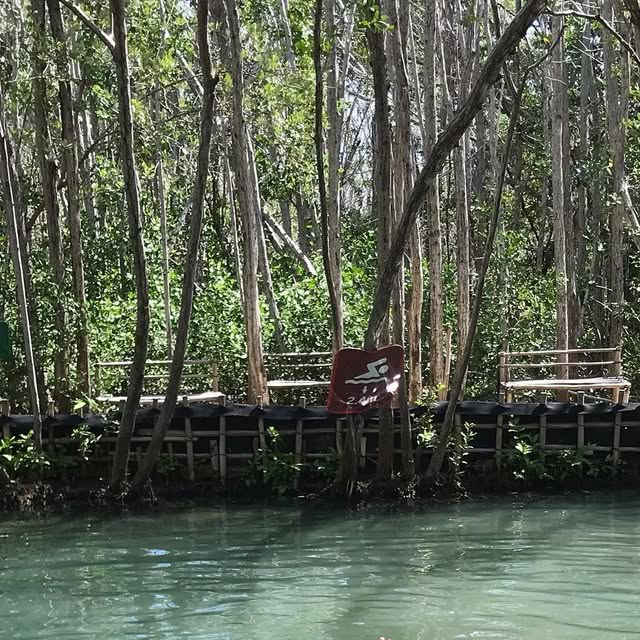 jgitcar's tweet card. Just Get In The Car (@jgitcar) • Instagram photos and videos