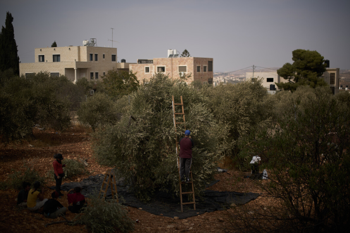 ChiaraCruciati's tweet card. Israele (Internazionale) Netham Shalalda è seduto su una seggiola di plastica nel cortile in ghiaia di casa sua, una villetta a due piani ancora incompleta, è in attesa del matrimonio del primogeni...