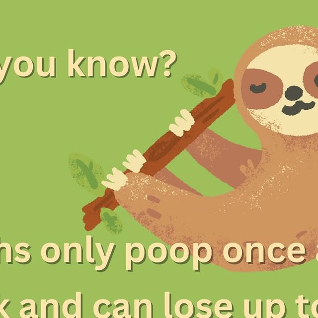 app_plop's tweet card. Plop: poop tracker & analyzer (@plop_app) • Instagram photo