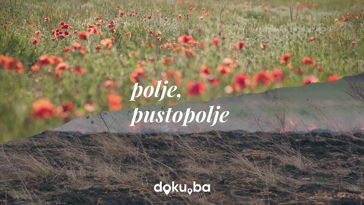 doku_ba's tweet card. POLJE, PUSTOPOLJE [dokumentarni film]