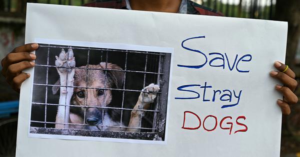 sharmasupriya's tweet card. It is always easier to claim a moral high ground through comfortable and safe activism that will never challenge the status quo.