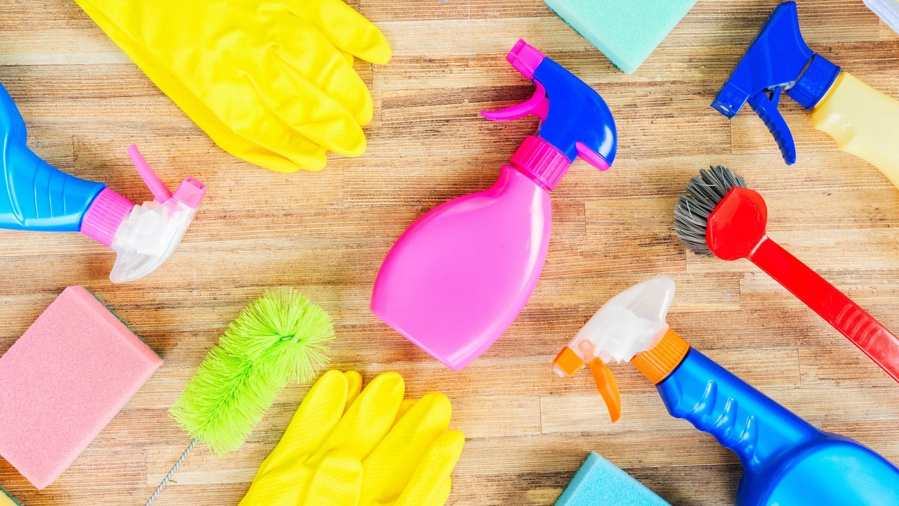 skybirdnerd's tweet card. Wir sind umgeben von Keimen - in der Toilette, auf dem Küchenschwamm, im Kühlschrank. Was können wir dagegen tun und: Müssen wir überhaupt absolut keimfrei leben? Nadine Zeller im Science Talk mit...