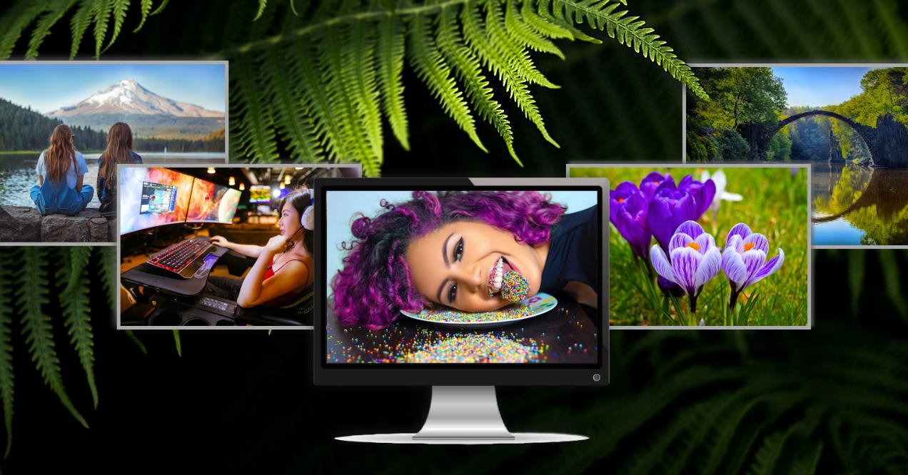 eos2000eos's tweet card. A really cool desktop wallpaper app brings your preferred background, video, GIF or live wallpaper on your computer screen at any time!