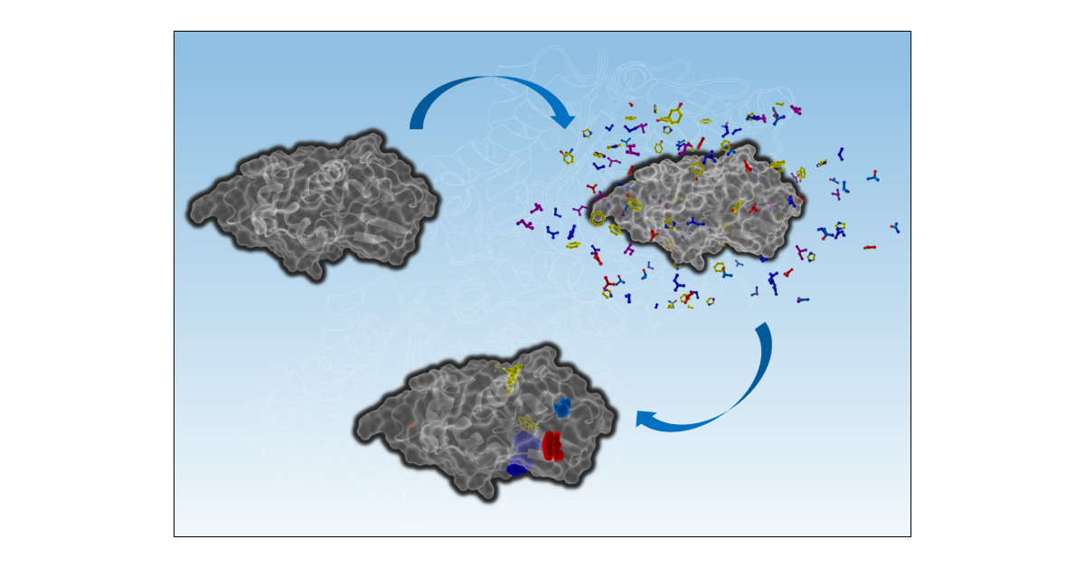 bruciaf1's tweet card. Cosolvent molecular dynamics (MDs) are an increasingly popular form of simulations where small molecule cosolvents are added to water-solvated protein systems. These simulations can perform diverse...