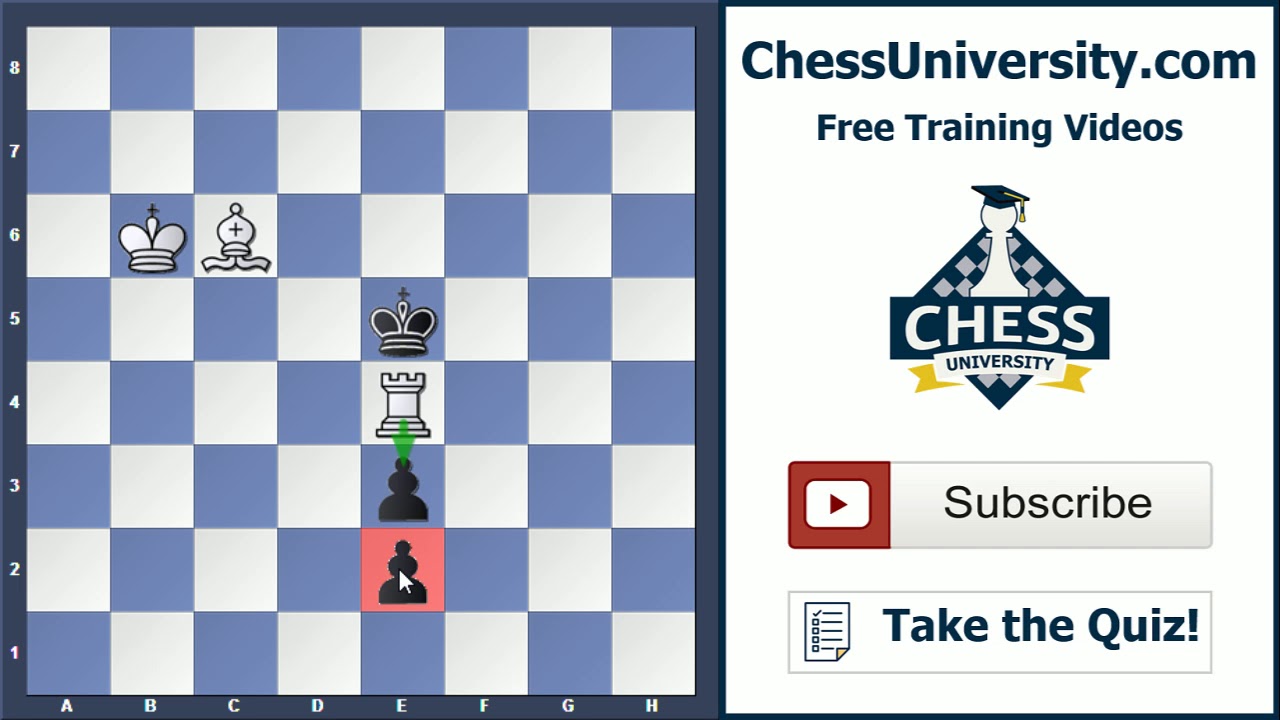 ChessUniversity's tweet card. Endgame Art #2