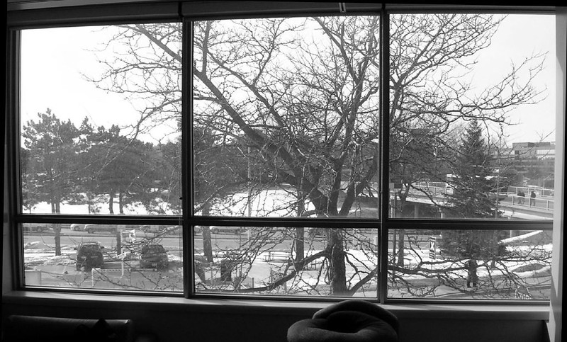 InTrainingDoc's tweet card. Septic shock. Liver failure. Kidney cancer.