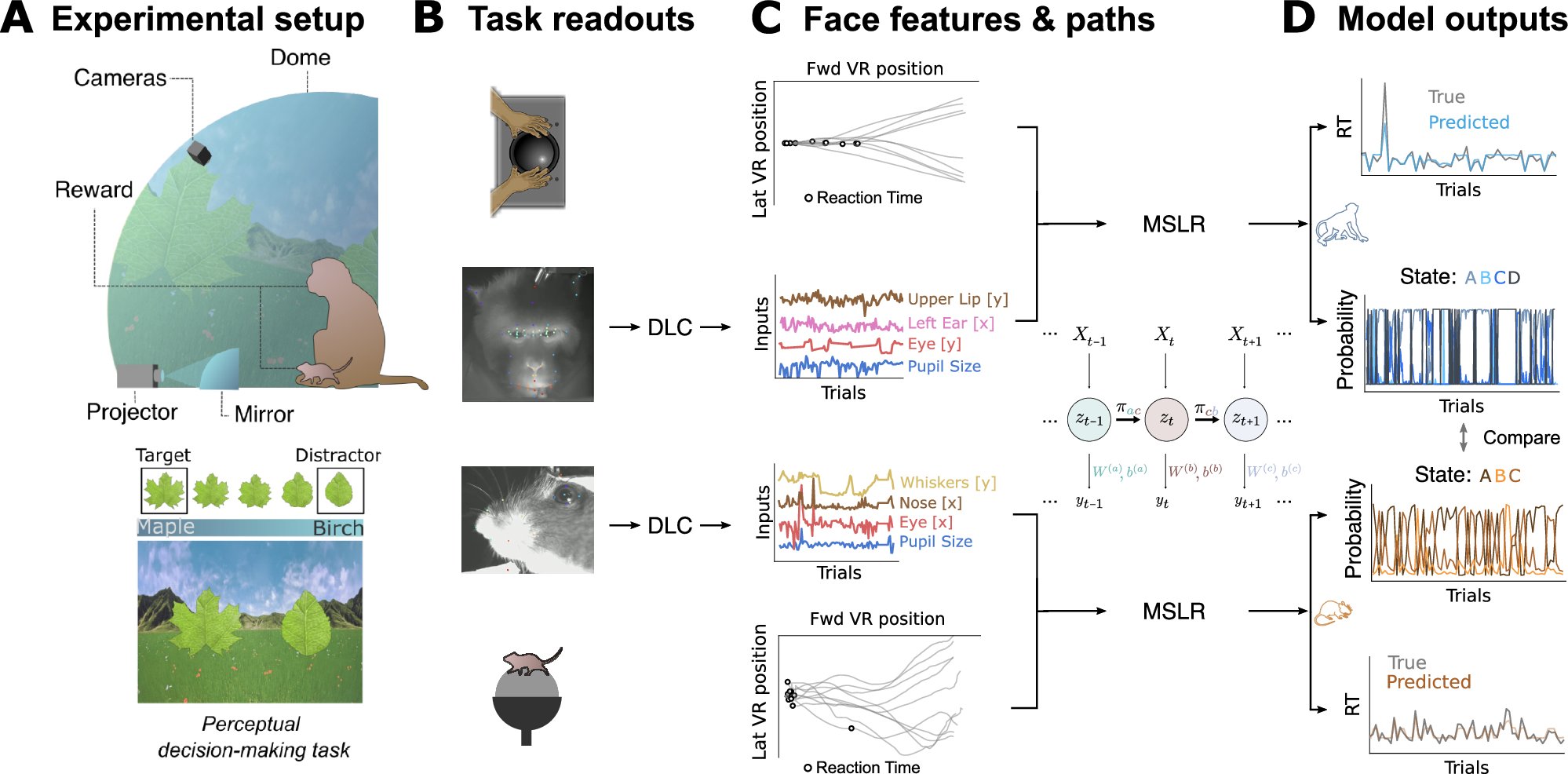 ZeroNoiseLab's tweet card. Nature Communications - Here, the authors created a virtual reality task for monkeys and mice to explore if internal states like attention are similar across species. Their facial expressions...