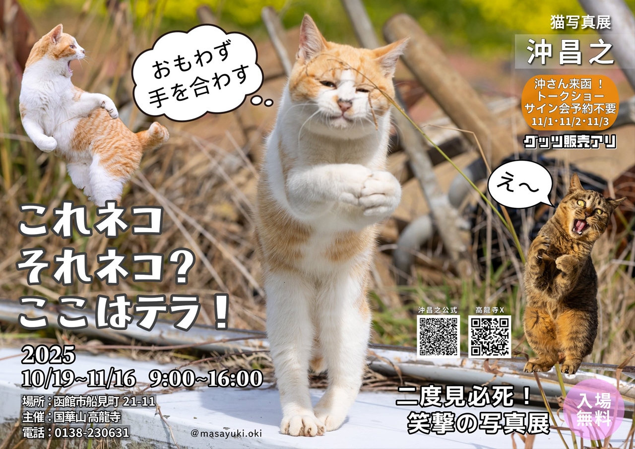 hakoeve_info's tweet card. イベント名写真展「これネコ　それネコ　ここはテラ！」開催日時2025年10月19日(日)～11月16日(日)　各日9:00～16:00会場国華山高龍寺函館市船見町21-11駐車場多少ありイベント内容猫専門の写真家として知られる沖昌之さんの写...