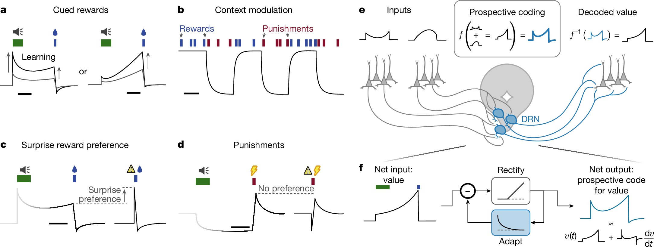 NeuroNaud's tweet card. Nature - Merging ideas from reinforcement learning theory with recent insights into the filtering properties of the dorsal raphe nucleus, a unifying perspective is found explaining why serotonin...