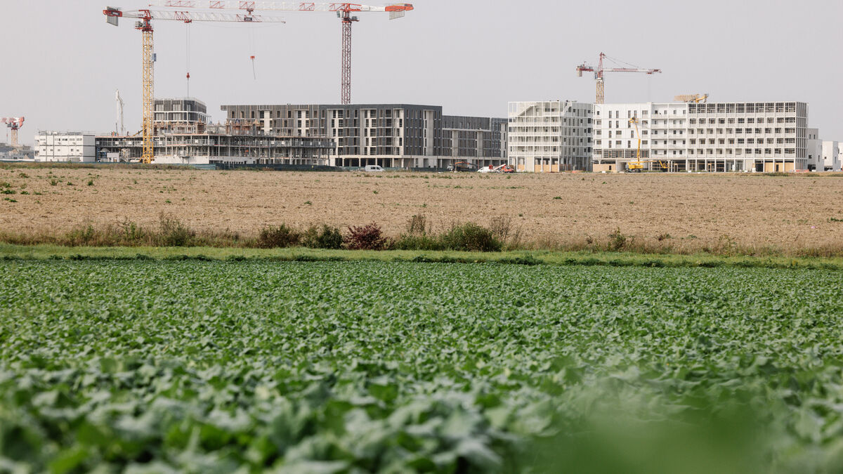 Fred_Mouchon's tweet card. Alors que 57 000 hectares de nature sont artificialisés chaque année, la France veut en finir avec la bétonisation d’ici 2050. Un rapport de