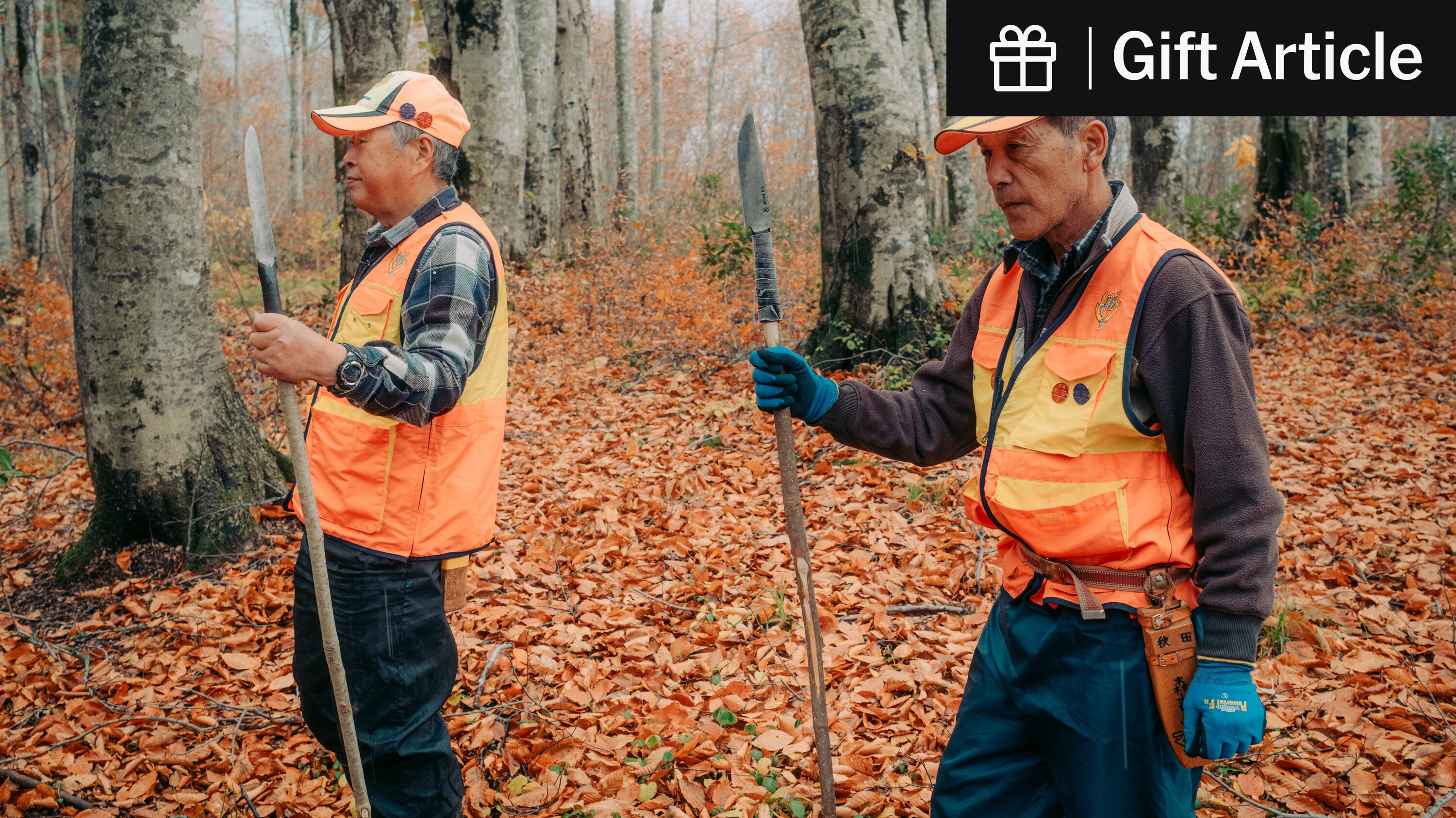 carina38925315's tweet card. Residents in the northern region of Akita are living in fear after dozens of assaults on humans. Riot police and the army have been sent to help.