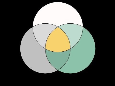 ShinzenYoung's tweet card. Daniel M. Ingram: Emergent Phenomenology; Research and Relevance