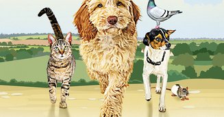 Tweet card summary image