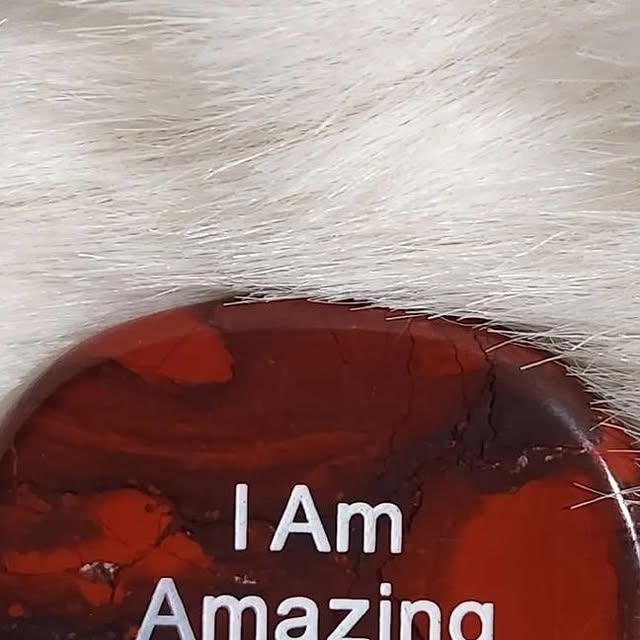 jonsaxx's tweet card. JON SAXX (@jonsaxx) • Instagram photos and videos