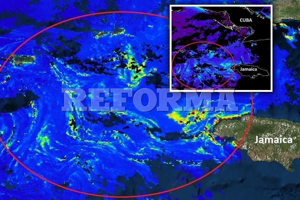 reformanacional's tweet card. Red de Monitoreo de Cancún alertó que una 'isla de sargazo', de 550 km de diámetro, arribará a las costas de QR la próxima semana.