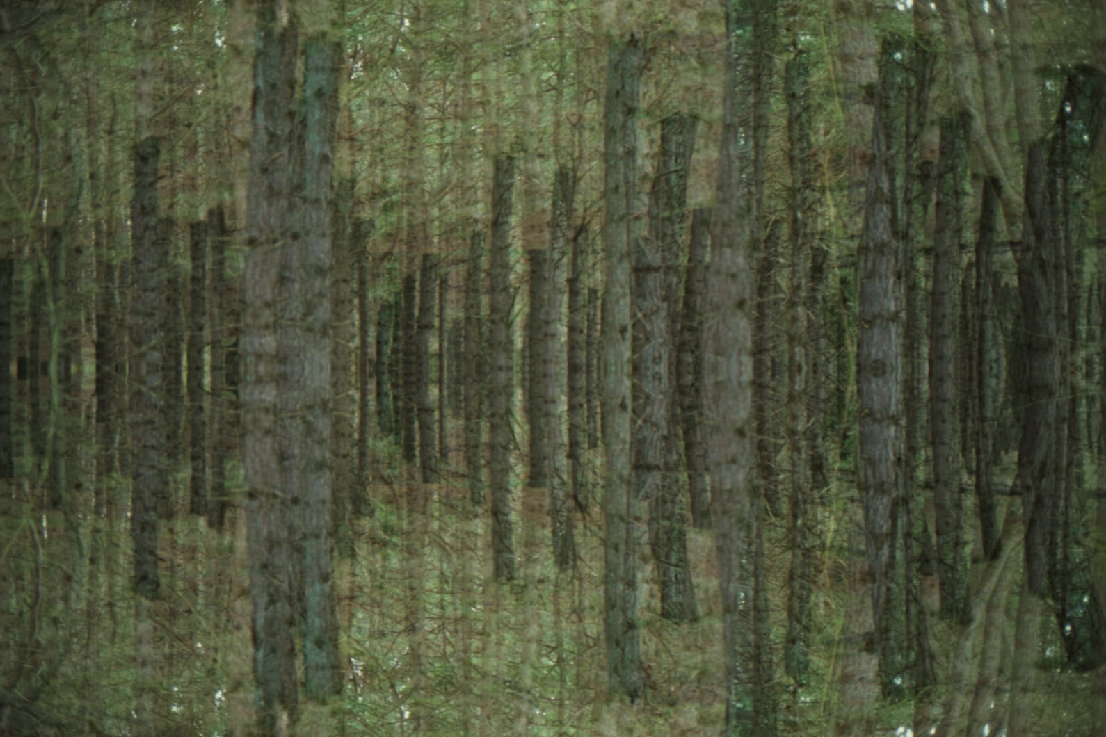 VincentVerloop's tweet card. Het gaat steeds slechter met de Nederlandse natuur, is de conclusie van een nieuw rapport van de Raad voor de leefomgeving en infrastructuur. Het belangrijkste punt: het beschermen van natuur in...