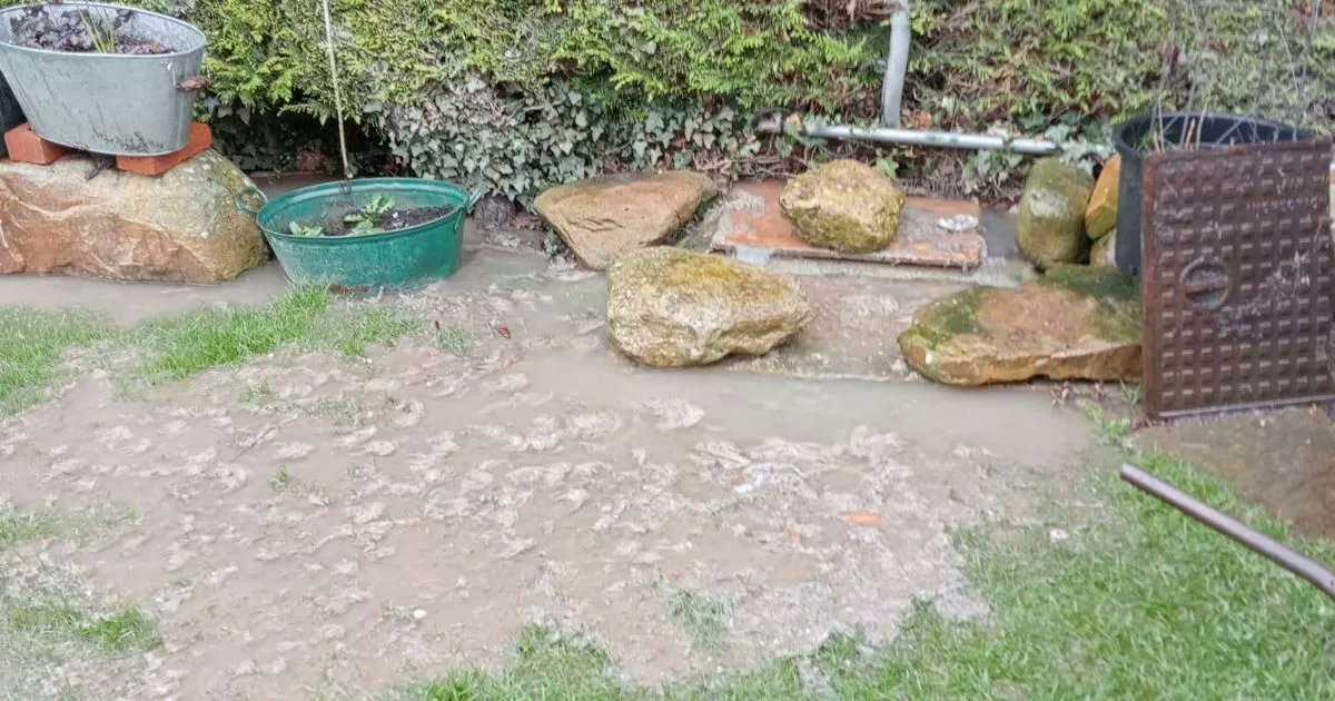 Feargal_Sharkey's tweet card. One woman has described how her elderly neighbours have been using a bucket for a toilet