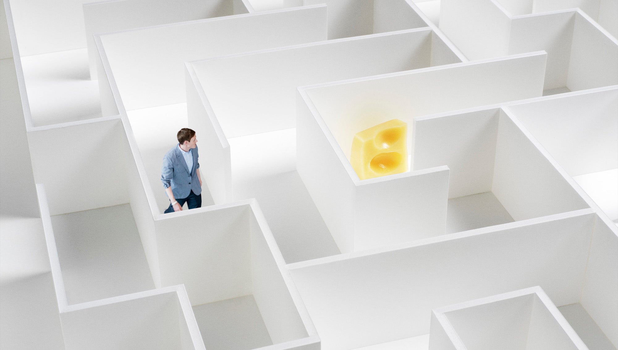 TheOnion's tweet card. CAMBRIDGE, MA—Announcing that extensive testing on lower-order rodents has proven the behavioral puzzle fit for general use, a group of Harvard University psychologists who have spent their careers...