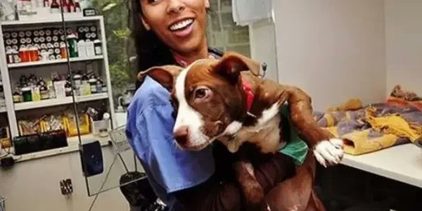 ASPCA_APCC's tweet card. Visit ASPCApro.org for resources to help animal welfare professionals save more lives. Find the latest research and learn about unique training opportunities.