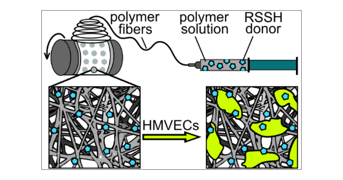 MatsonLab_VT's tweet card. Persulfides (RSSH) and hydrogen sulfide (H2S) are endogenously produced bioactive molecules that serve important roles in vasculogenesis and tissue repair processes. Through the physical incorporat...