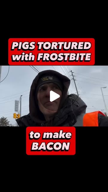 RavenTW's tweet card. vegan28 (@vegan282828) • Instagram reel