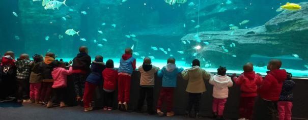 WeekendArgus's tweet card. Discover how the annual Christmas Market at Christine Revell Children’s Home in Athlone not only brings festive cheer but also supports vulnerable children in need of care and love.