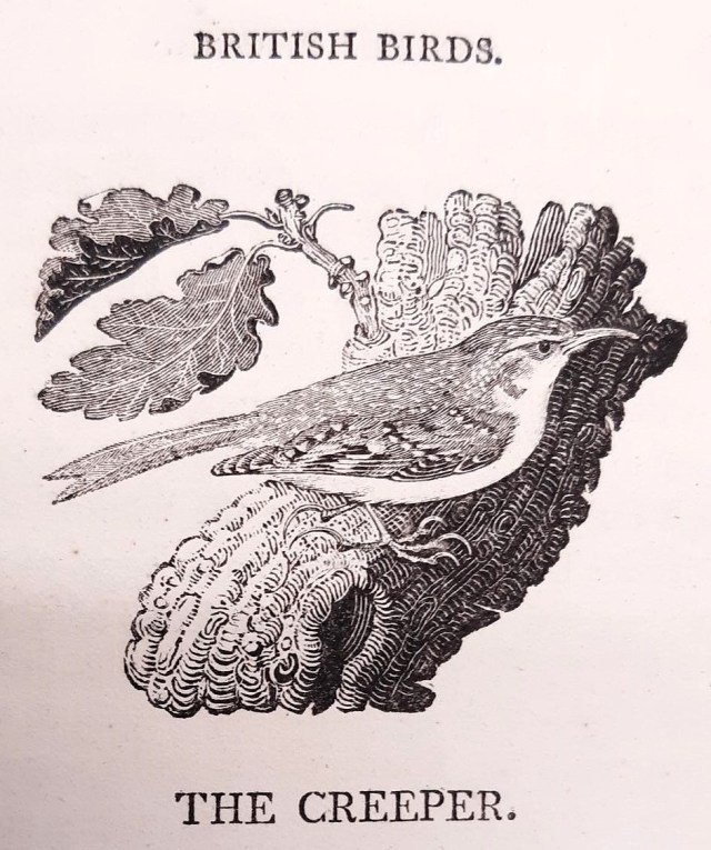 GuildhallLib's tweet card. Wood-engraving is an illustration technique that developed in Europe in the late 18th century from the time-honoured skill of woodcutting of earlier centuries. The process allowed for greater detai…