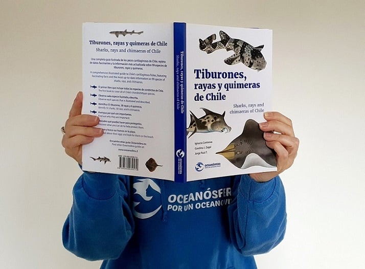 El_Ciudadano's tweet card. Fundación Oceanósfera lanza el primer libro que reúne todas las especies de tiburones, rayas y quimeras de Chile Por Francisca López-Espinoza Gentileza: