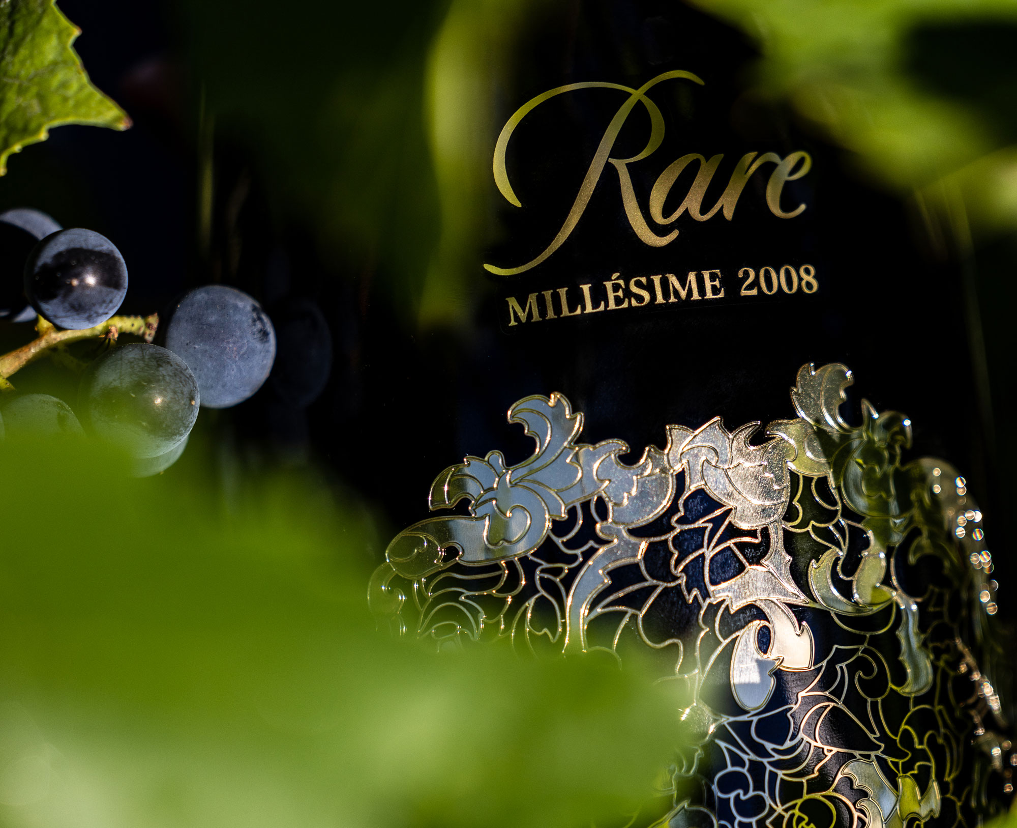 ArtsCollections's tweet card. The highly anticipated 2025 Golden Vines Online Auction will open for bidding on 20th October at 9:00am EDT and run through to 9th November