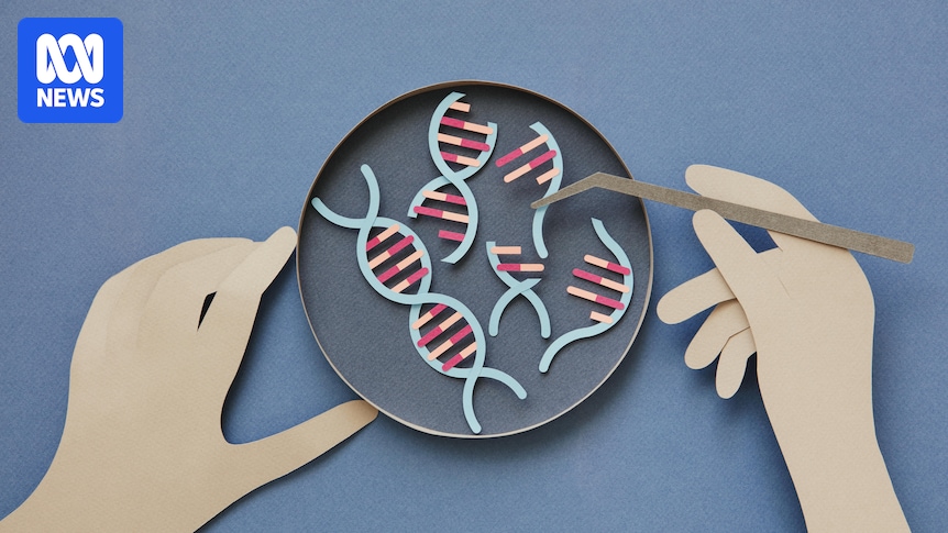 abcnews's tweet card. Scientists have used personalised gene-editing therapy to successfully treat a baby with a rare genetic condition. Could this technique help to unlock treatments for others?