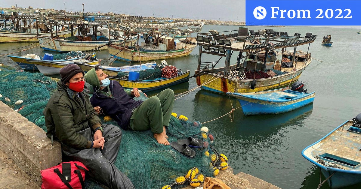 MikeOmerMan's tweet card. ***