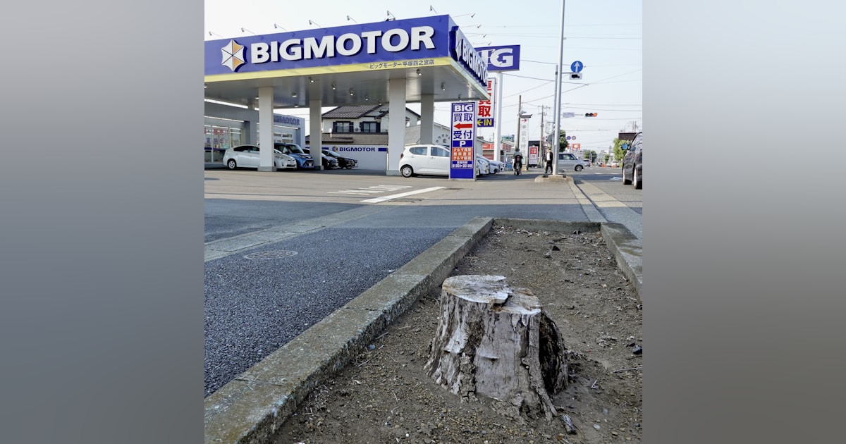 old_gamer_std's tweet card. 中古車販売大手ビッグモーターの店舗前にある街路樹が不自然に枯れるなどしている問題で、各地で枯れた街路樹が確認されたことが27日、分かった。各自治体が状況を調べている。ビッグモーターは27日までに「現在、事実関係を確認している」と回答した。この日は札幌市や、神奈川県の平塚市と藤沢市、福井県越前市、静岡県富士市、愛知県西尾市、滋賀県草津市、大阪府、福岡県春日市、佐賀市、大分県中津市など各地の店舗前