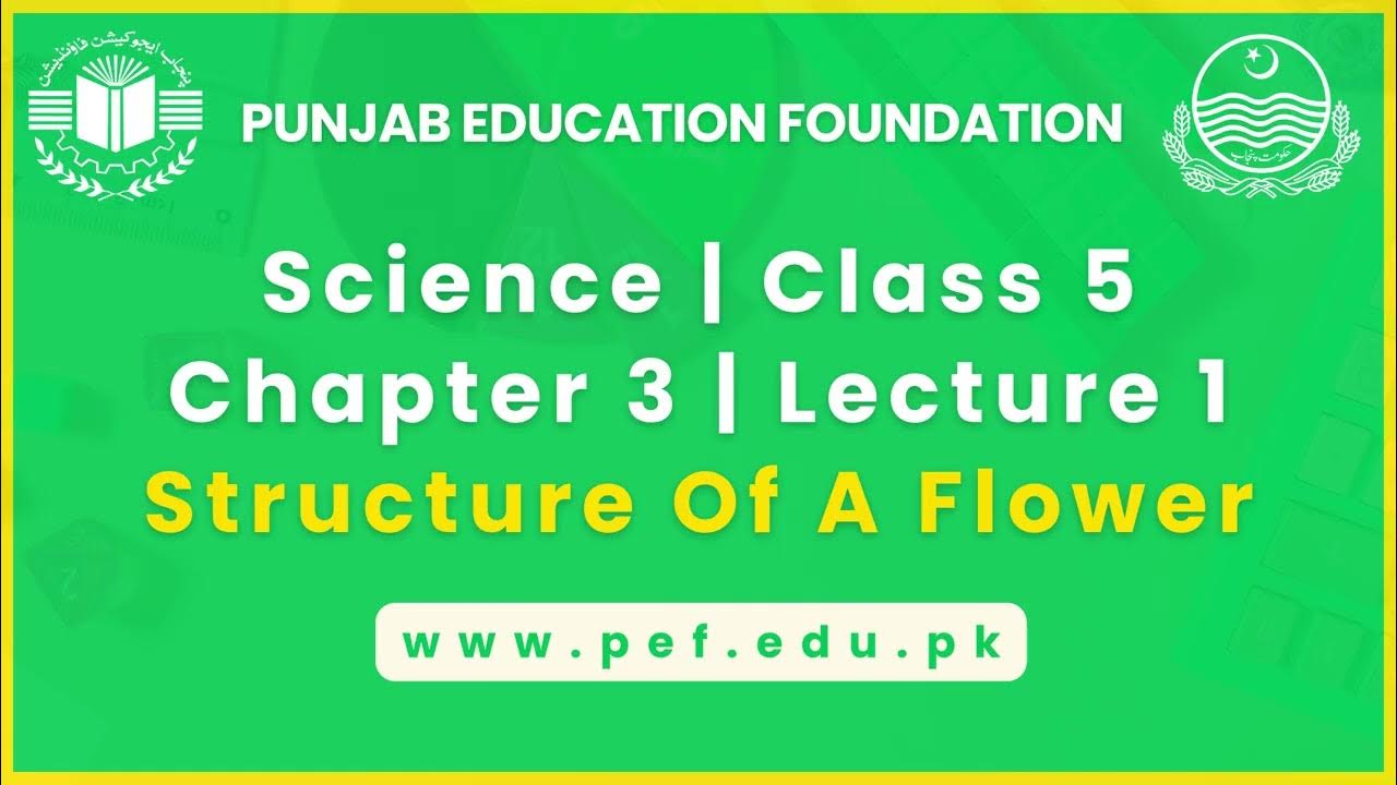 PEFPUNJAB's tweet card. Science | Class 5 | Chapter 3 | Lecture 1 | Structure Of A Flower