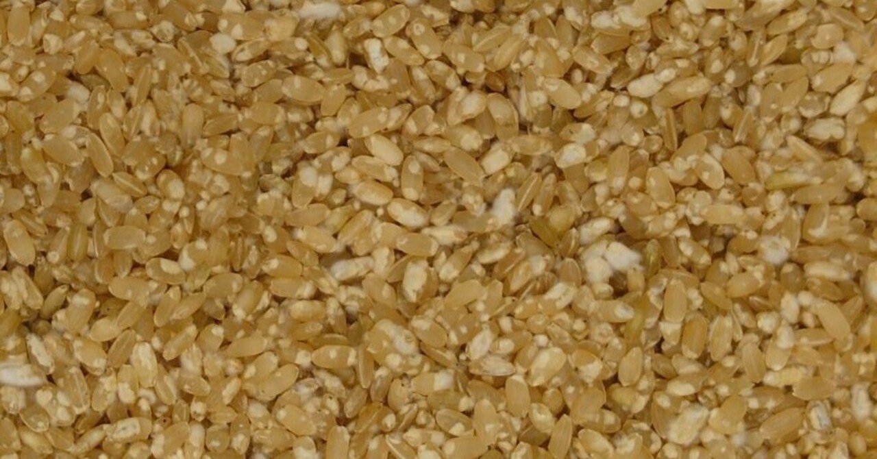 HIRA6kiku's tweet card. こんにちは。ヒライユウキです。 家族の創業地である100年の時が流れる家「日詰平井邸」に残された醸造所を2024年1月に復活させ、お酒を造っています。 日詰平井邸｜100年の時が流れる家｜クラフトサケ 日詰平井邸 は大正10年完成、原敬首相を招いた岩手県紫波町日詰商店街に位置する近代和風建築です。2016年国重要文化財に指 www.hiraroku.com 平六醸造が造るすべてのクラフトサケ...