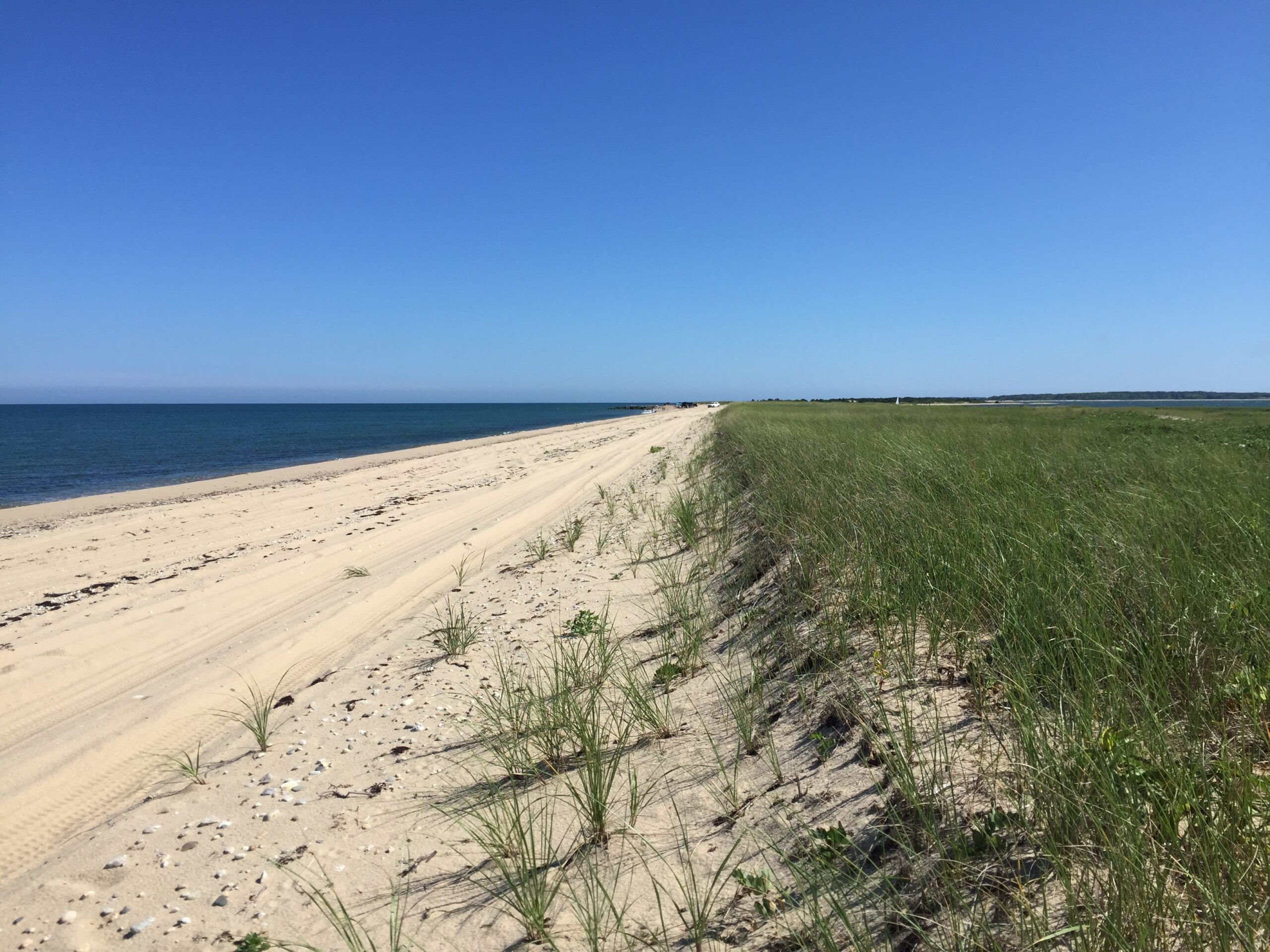 TheTrusteesMV's tweet card. Important Vineyard OSV updates, summer 2023