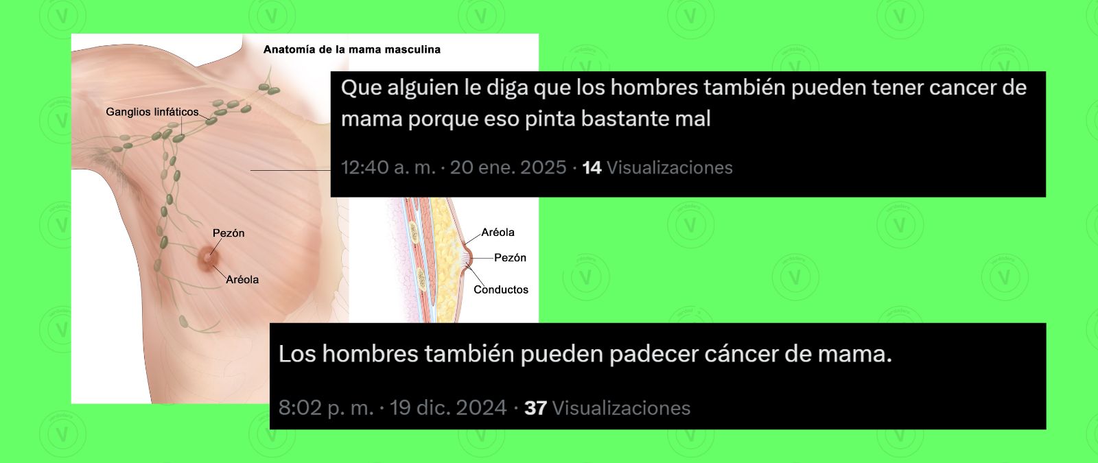 factchequeado's tweet card. ¿Pueden los hombres tener cáncer de mama? Esta pregunta en inglés experimentó un aumento del 500% en las búsquedas en Google…