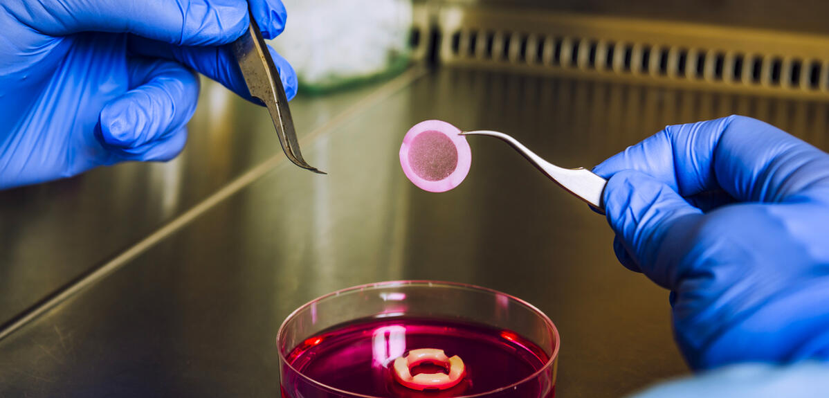 I2ctIbmc's tweet card. Peut-on se passer de l’expérimentation animale ? Si cela s'avère encore difficile dans certains domaines de recherche, des alternatives commencent à voir le jour. C'est notamment le cas à Strasbourg,