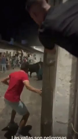 menelikcoin's tweet card. #Toro #bravos Las vallas son peligrosas