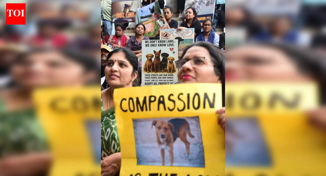 psonlinux's tweet card. Bengaluru: Hundreds of pet lovers, NGOs, and aid centre members gathered at Freedom Park Tuesday to protest against the recent Supreme Court order dir.